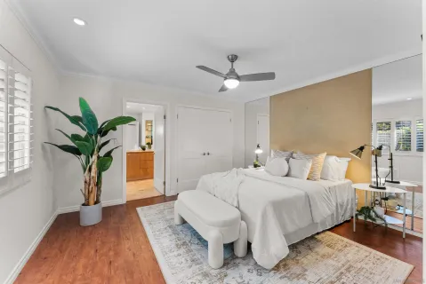 a spacious bedroom with a large bed and a potted plant