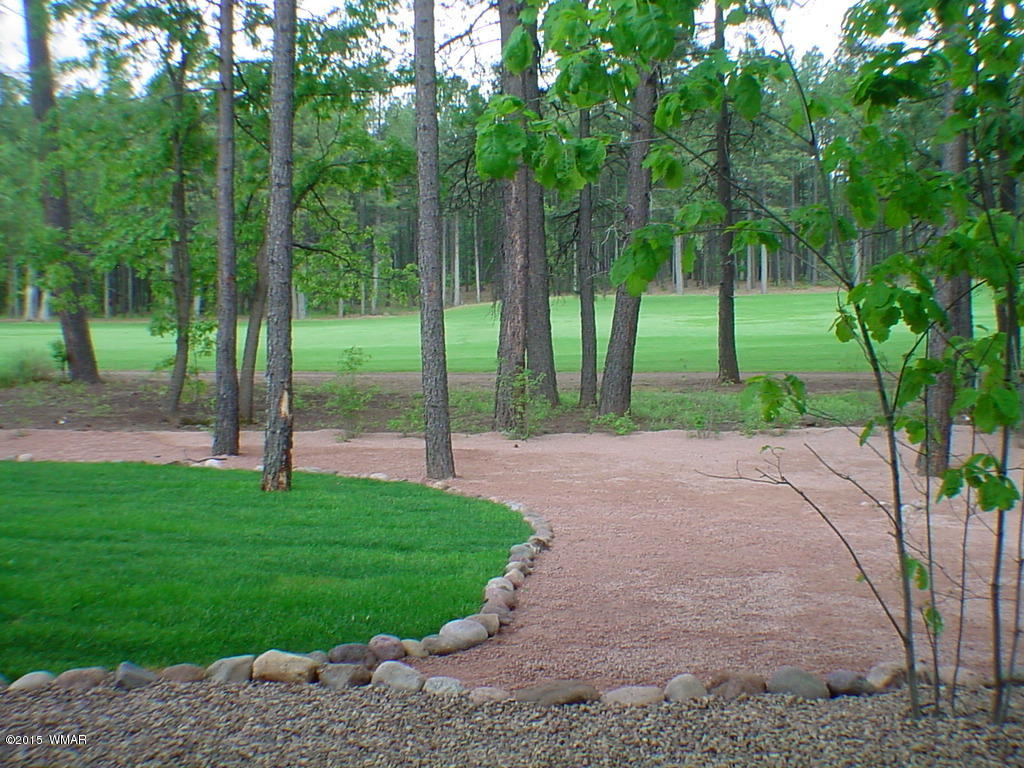 6997 Geronimo Road Pinetop, AZ 85935 - Photo 16 of 69 Gallery Image 16