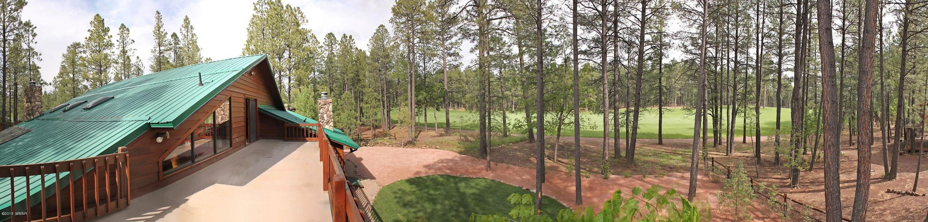 6997 Geronimo Road Pinetop, AZ 85935 - Photo 60 of 69 Gallery Image 60