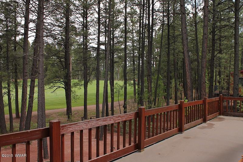 6997 Geronimo Road Pinetop, AZ 85935 - Photo 61 of 69 Gallery Image 61