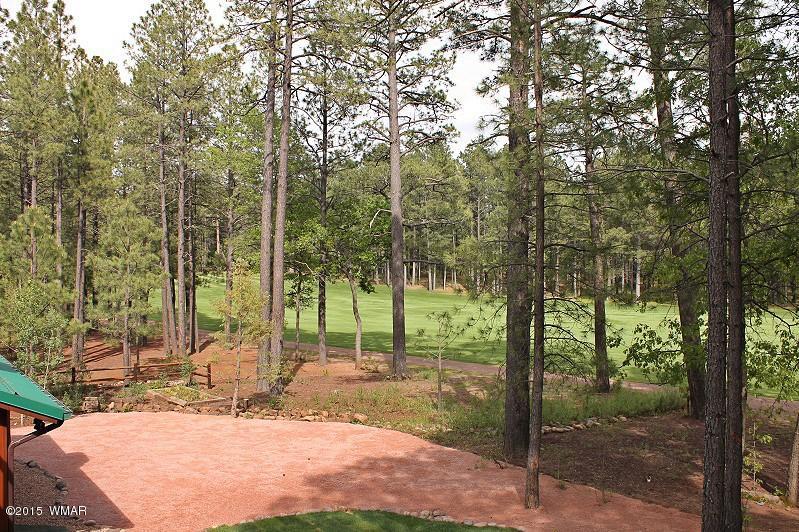 6997 Geronimo Road Pinetop, AZ 85935 - Photo 62 of 69 Gallery Image 62