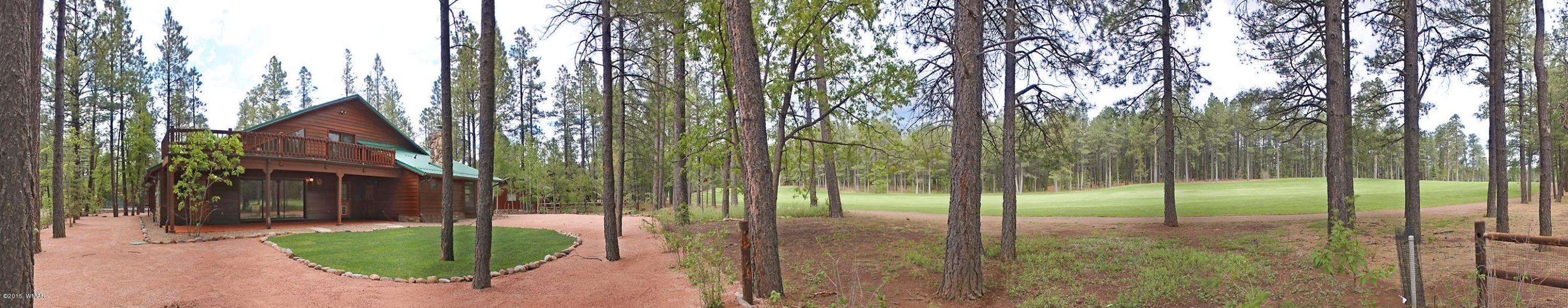 6997 Geronimo Road Pinetop, AZ 85935 - Photo 66 of 69 Gallery Image 66