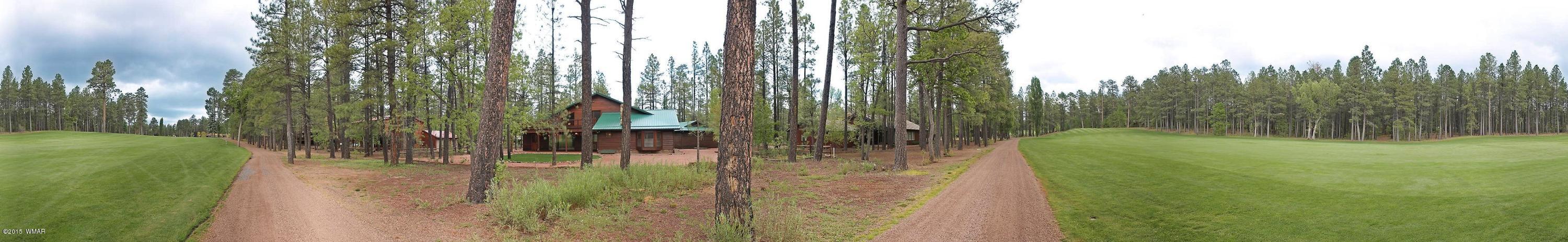 6997 Geronimo Road Pinetop, AZ 85935 - Photo 68 of 69 Gallery Image 68