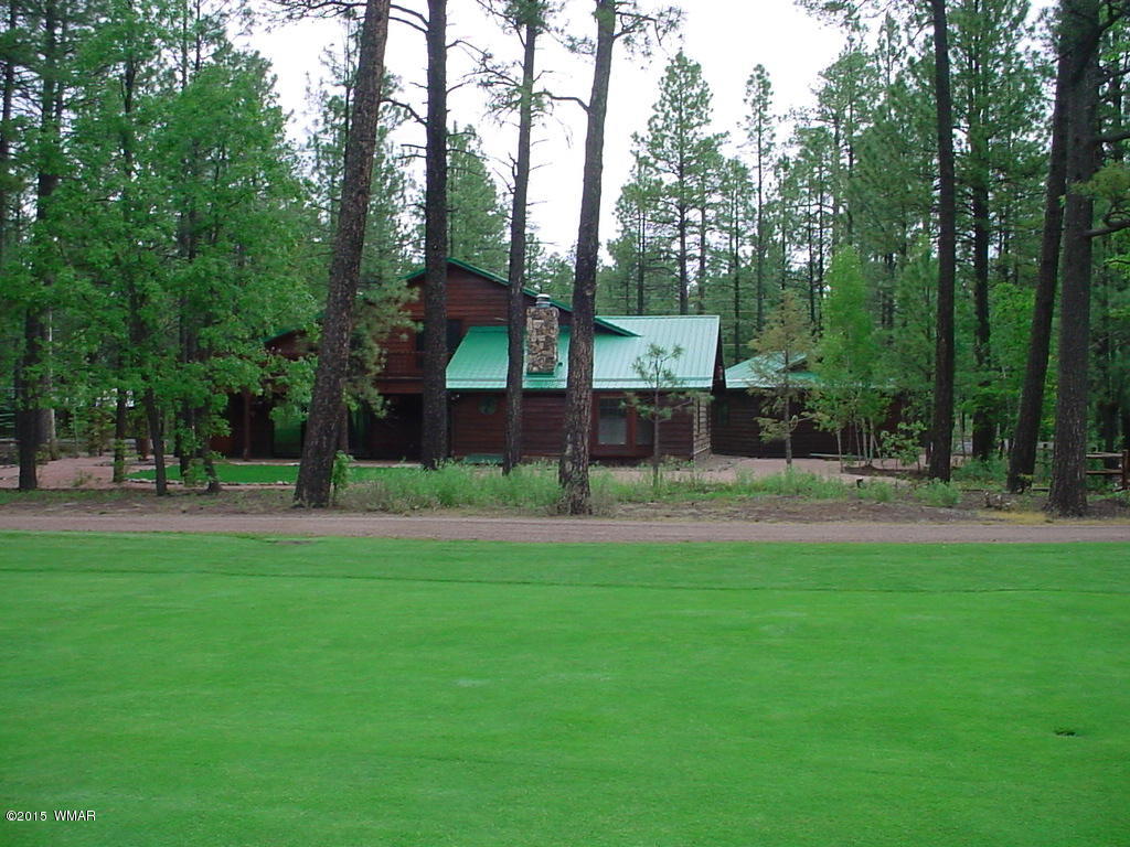 6997 Geronimo Road Pinetop, AZ 85935 - Photo 10 of 69 Gallery Image 10