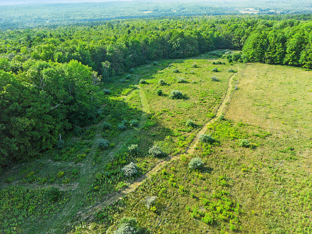 Lot20-a&b Burrill Hill Road Norridgewock, ME 04957 - Photo 8 of 17 Burrill Hill Rd