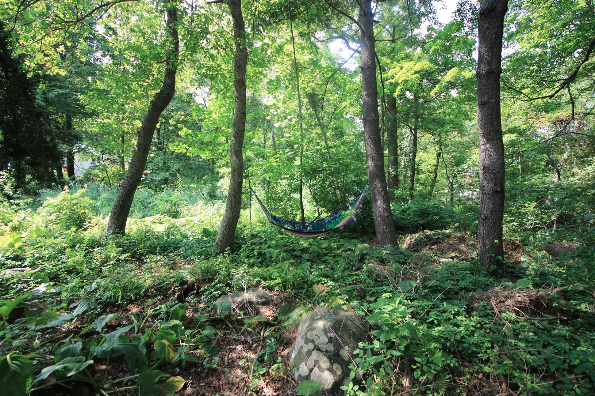 43 Rural Drive New Canaan, CT 06840 - Photo 26 of 26 a view of outdoor space and green space