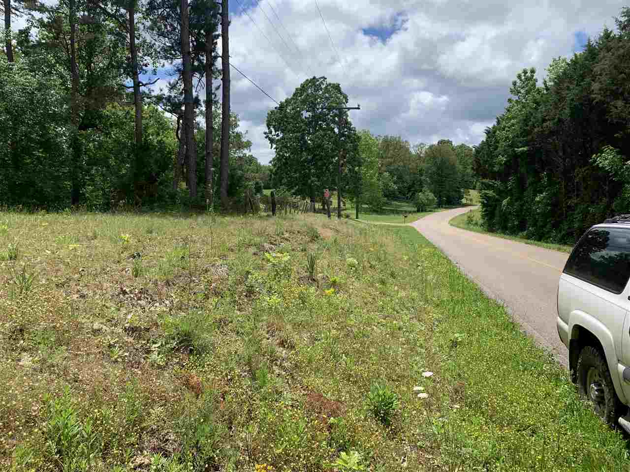 1 Smoky Road Savannah, TN 38372 - Photo 3 of 7 Gallery Image 3