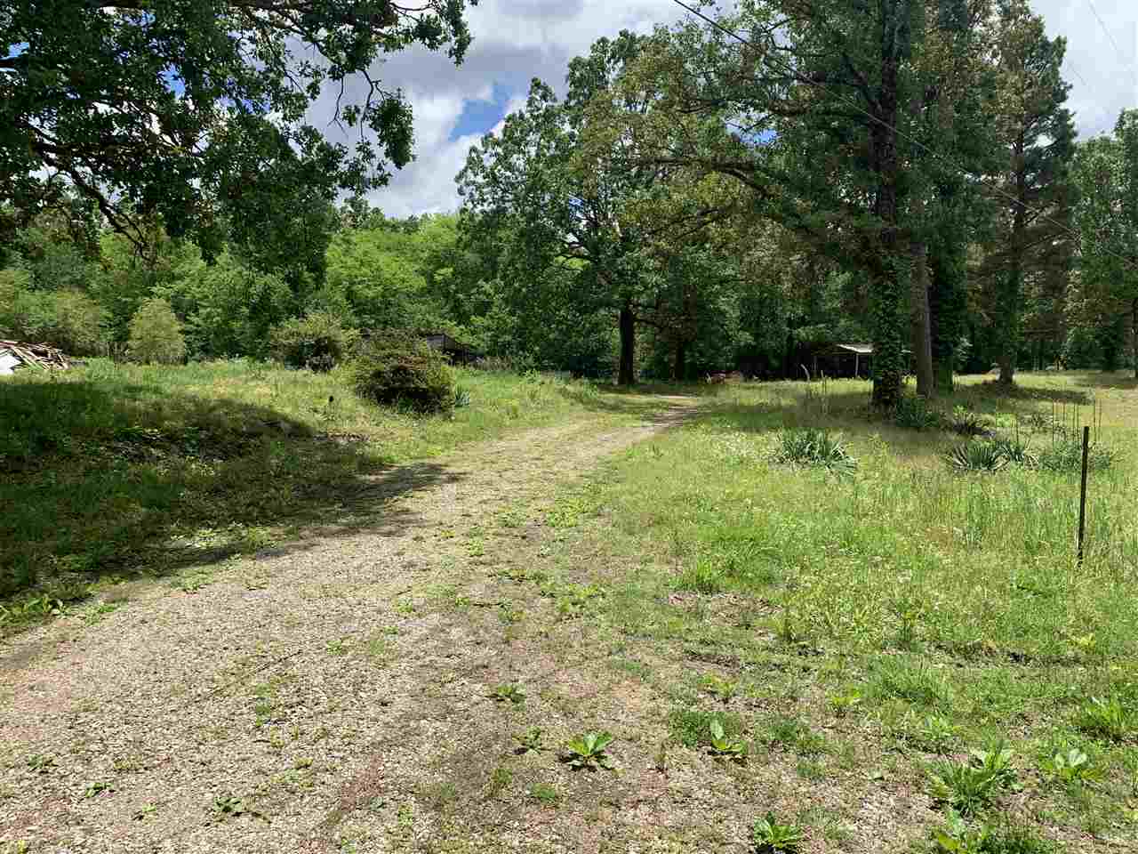 1 Smoky Road Savannah, TN 38372 - Photo 4 of 7 Gallery Image 4