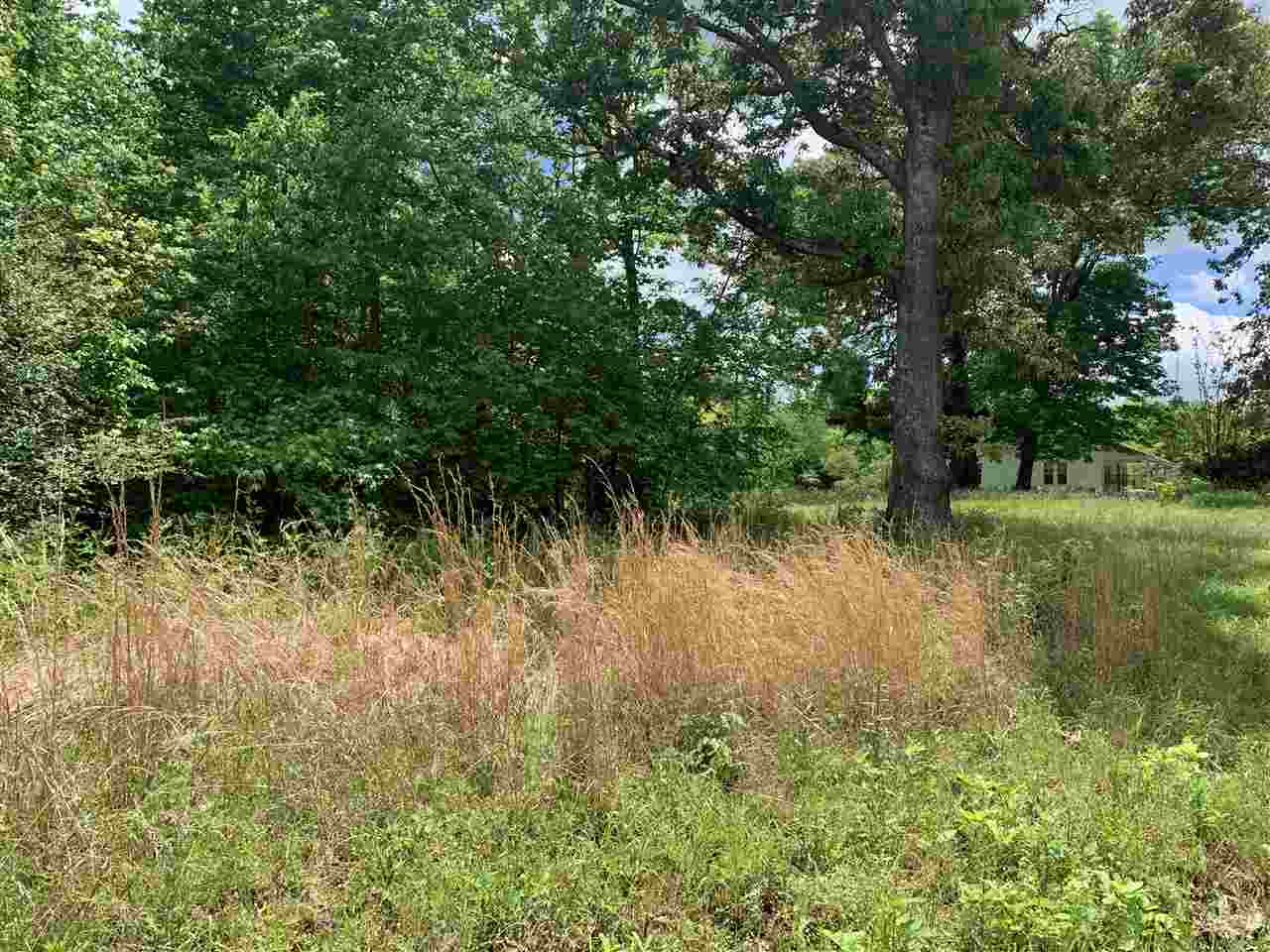 1 Smoky Road Savannah, TN 38372 - Photo 5 of 7 Gallery Image 5