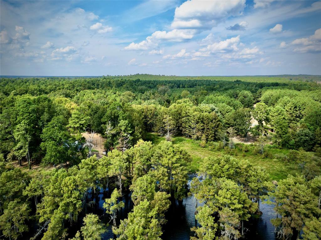 0 Rudd Road Ida, LA 71044 - Photo 1 of 16 Expansive wooded acreage featuring diverse tree species and a natural water body