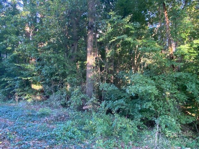 1 Rumple Street Troutman, NC 28166 - Photo 1 of 4 Gallery Image 1