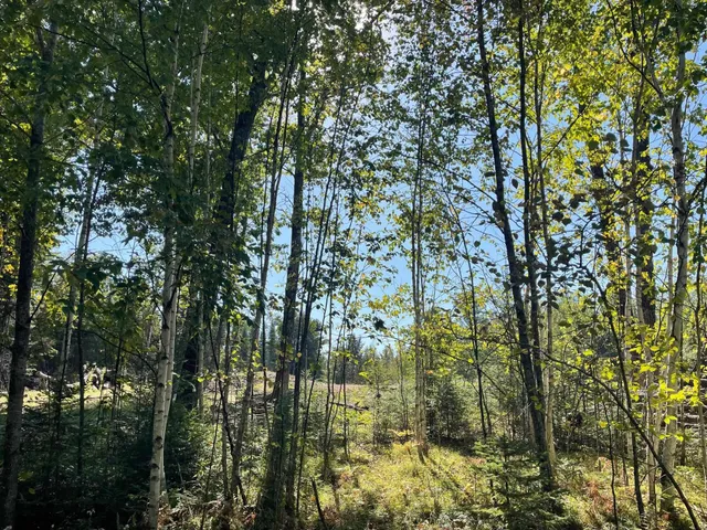 $86,900 | Angel Crest Lane, Lakewood, WI 54138