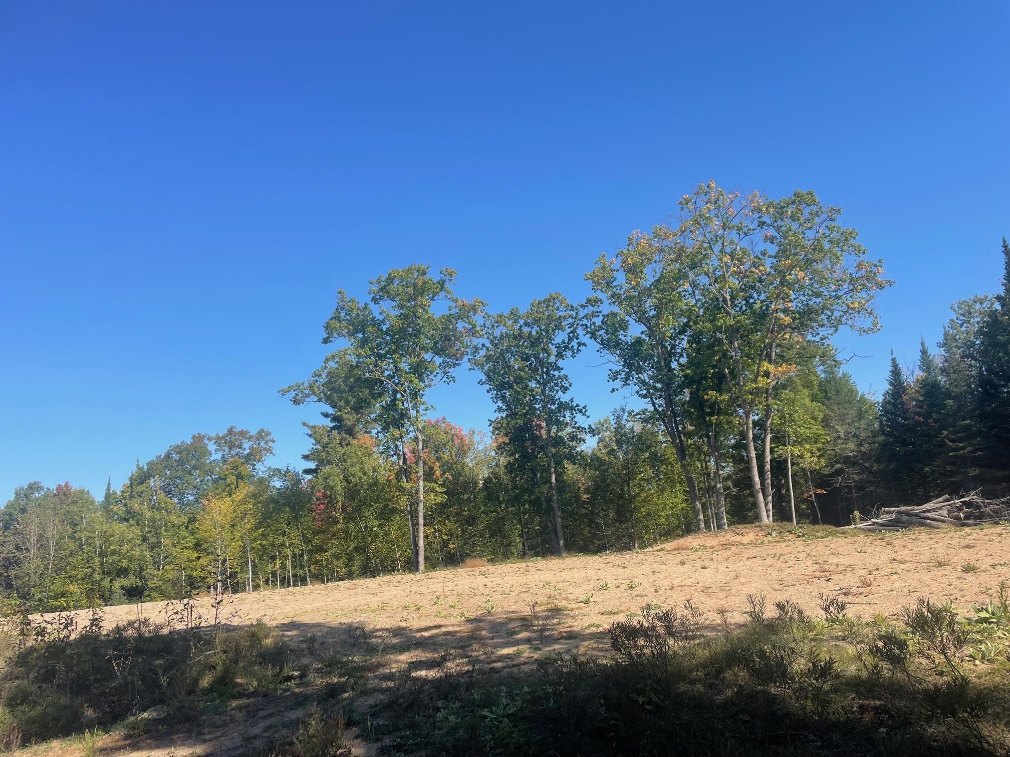 Angel Crest Lane Lakewood, WI 54138 - Photo 4 of 7