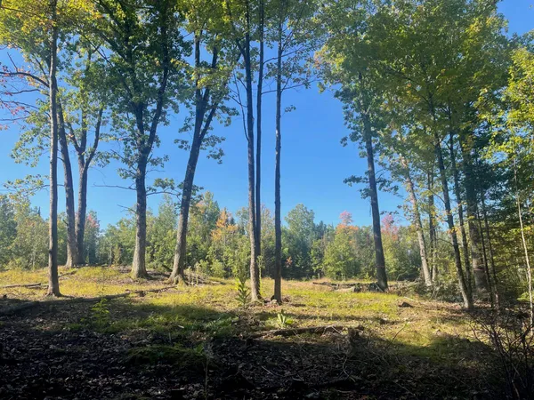 $86,900 | Angel Crest Lane, Lakewood, WI 54138