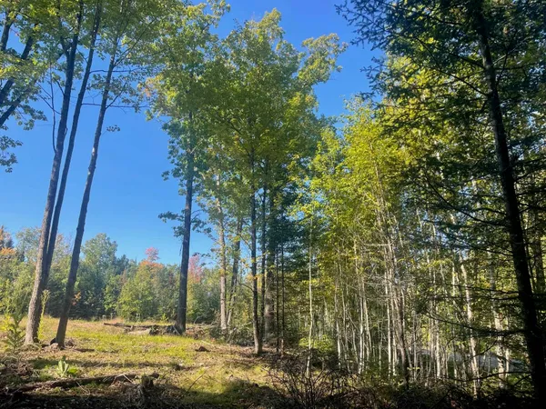 $86,900 | Angel Crest Lane, Lakewood, WI 54138