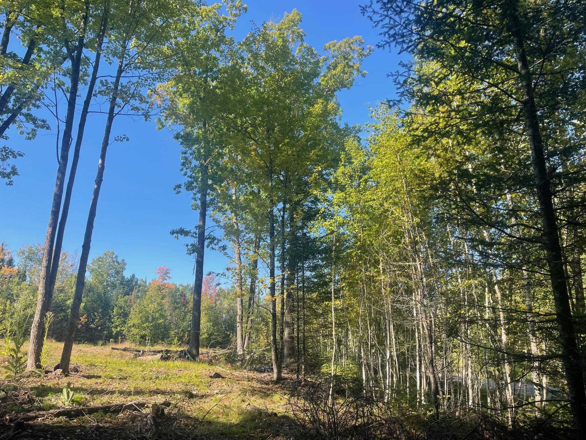 Angel Crest Lane Lakewood, WI 54138 - Photo 6 of 7