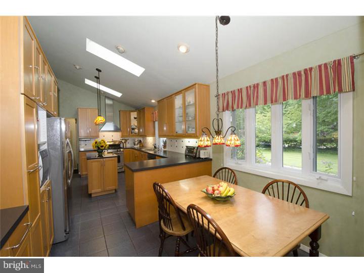 303 Strathmore Road Bryn Mawr, PA 19010 - Photo 4 of 25 Kitchen