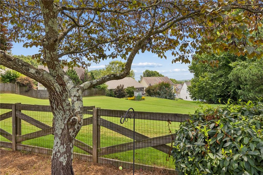 353 Springs Crossing Canton, GA 30114 - Photo 45 of 53