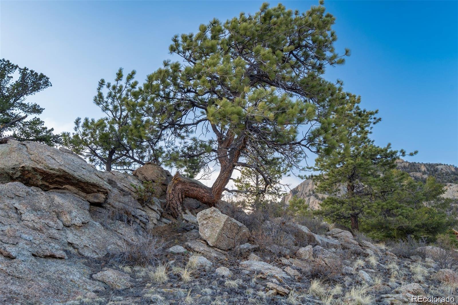 688 Tiara Road Lake George, CO 80827 - Photo 27 of 46 a backyard of a house