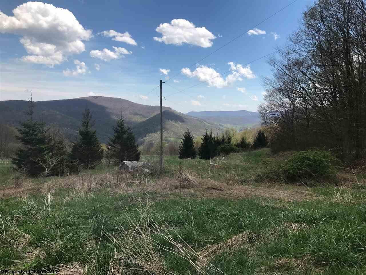 0 Haines Knob Road Harman, WV 26270 - Photo 6 of 20 Gallery Image 6
