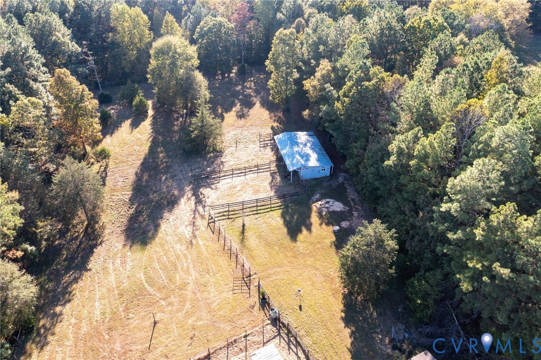 7410 Richmond Road Amelia Court House, VA 23002 - Photo 28 of 39 a view of a tree in a yard