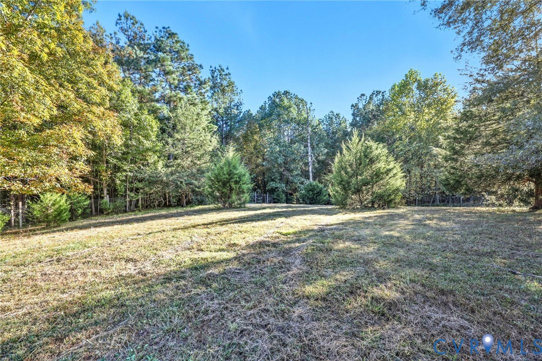 7410 Richmond Road Amelia Court House, VA 23002 - Photo 30 of 39 a view of a yard with a tree