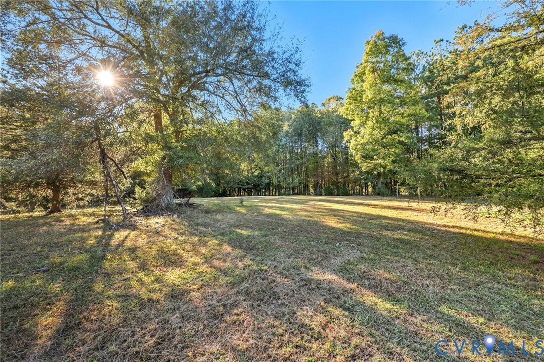 7410 Richmond Road Amelia Court House, VA 23002 - Photo 32 of 39 a view of yard with large trees