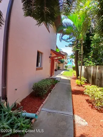 a view of a yard with plants and large tree