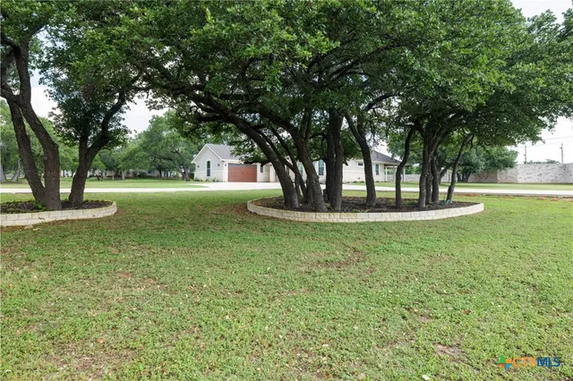 a view of outdoor space with garden and trees