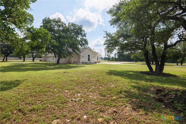 a view of a large trees with a big yard