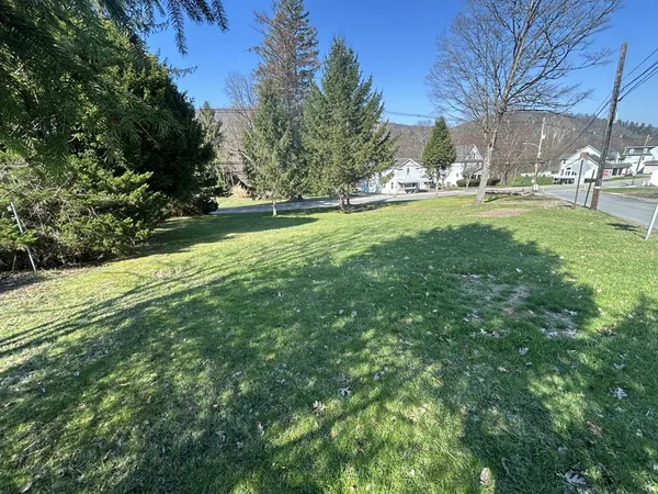 a view of a park with large trees