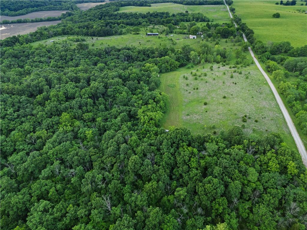 Tbd Rattlesnake Road Polo, MO 64671 - Photo 9 of 32