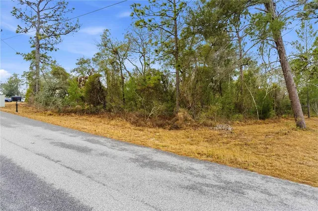 $47,000 | 11063 Liberto Road, Weeki Wachee, FL 34614