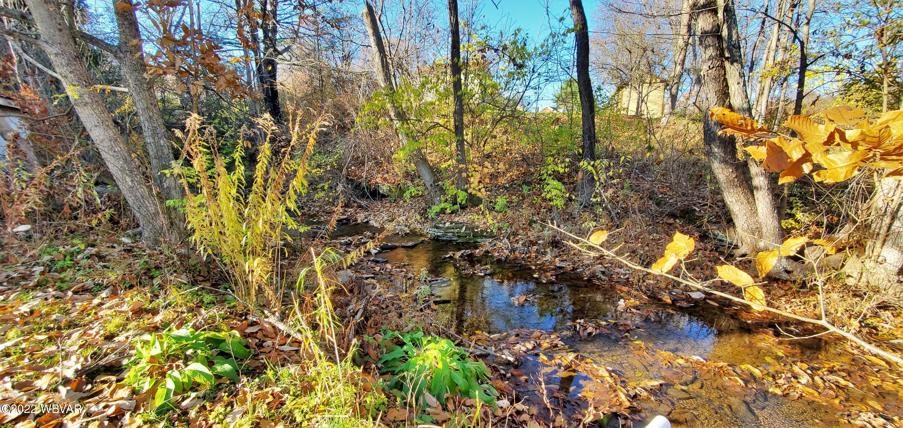 952 Canoe Run Road Jersey Shore, PA 17740 - Photo 7 of 16 Gallery Image 7