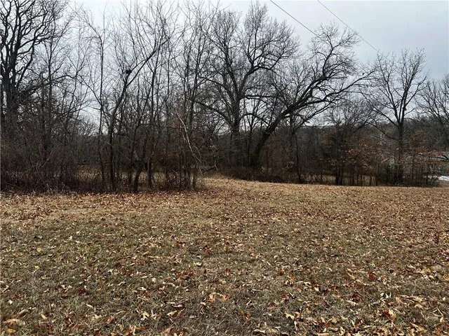 $25,500 | Lot 1086 Lake Viking Terrace, Gallatin, MO 64640