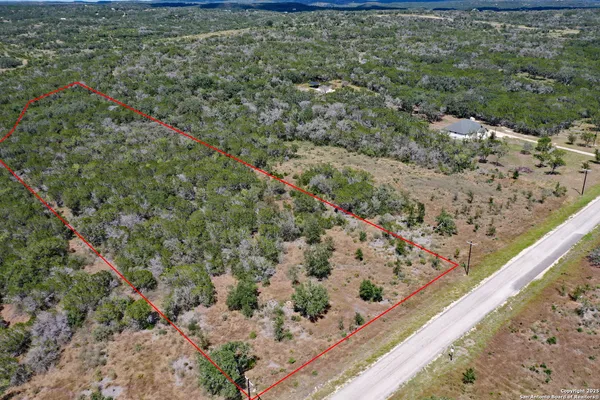 a view of a lots of trees and bushes