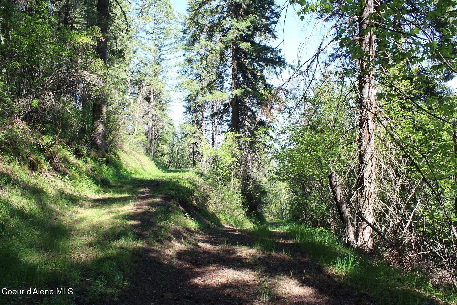 881-2714 South Allen Road Coeur D'Alene, ID 83814 - Photo 49 of 54 Haven Northside Trails
