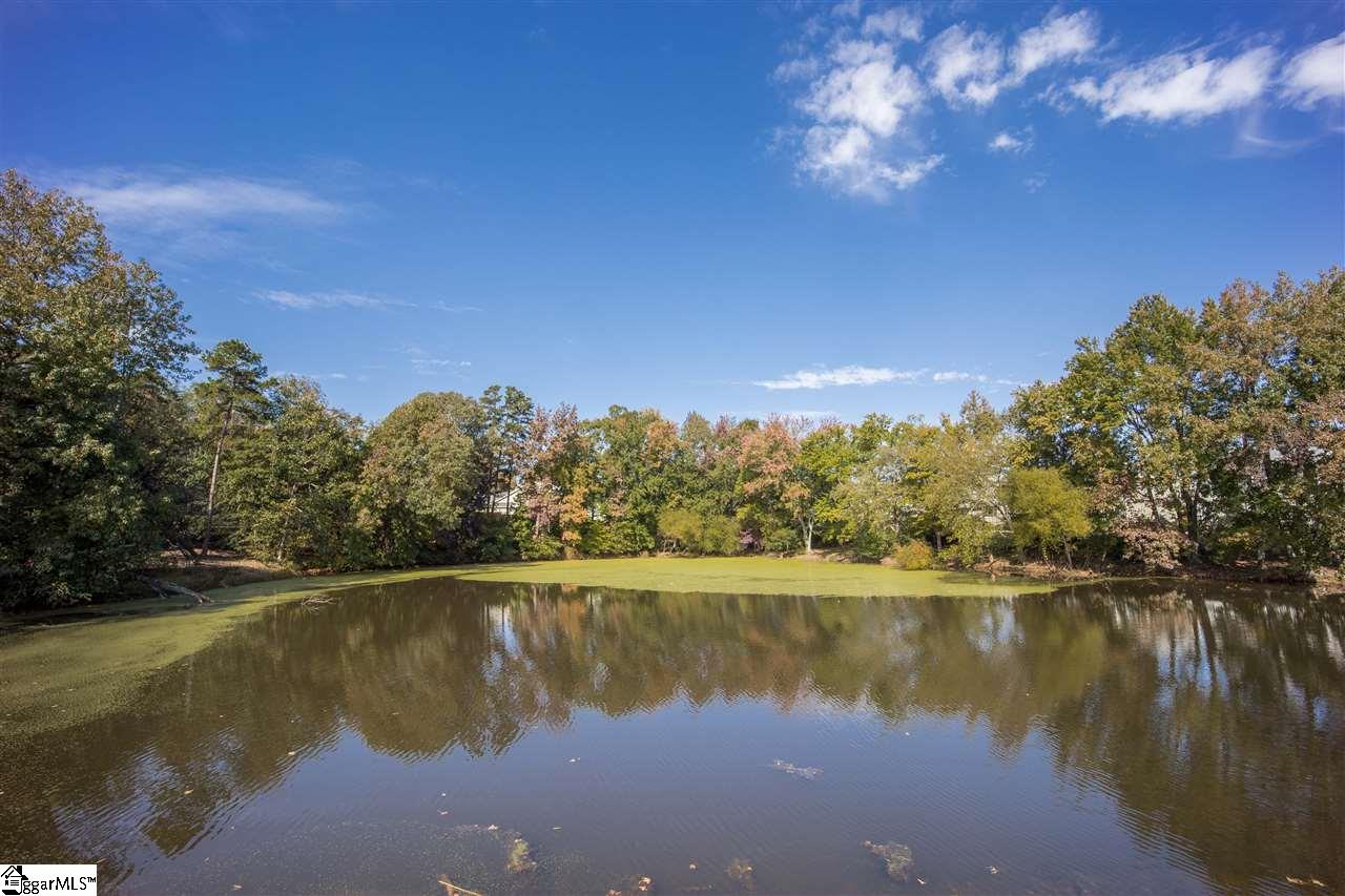 106 Tigris Way Greenville, SC 29607 - Photo 21 of 25 Gallery Image 21