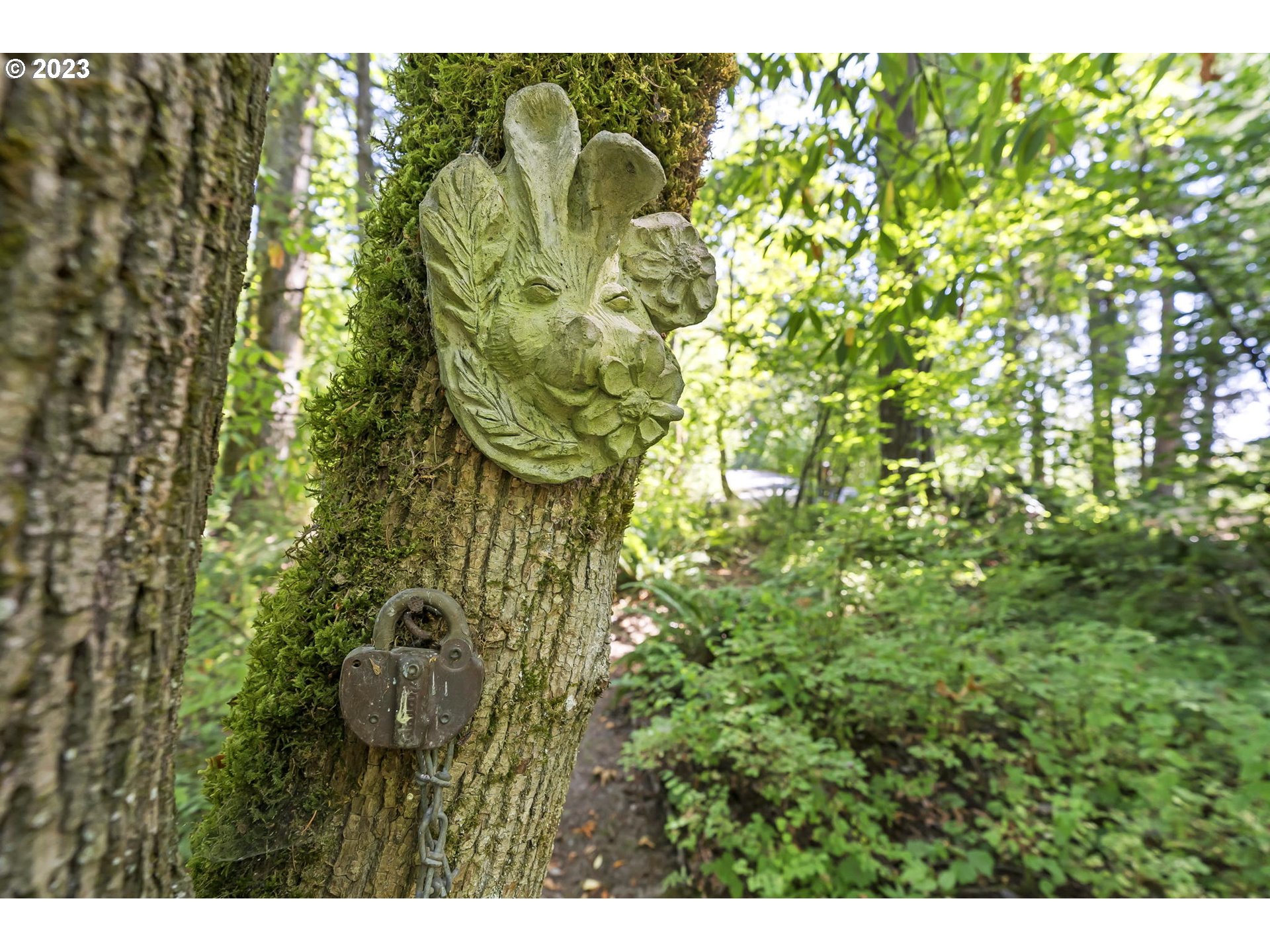 3302 Northeast Stoughton Road La Center, WA 98629 - Photo 34 of 43