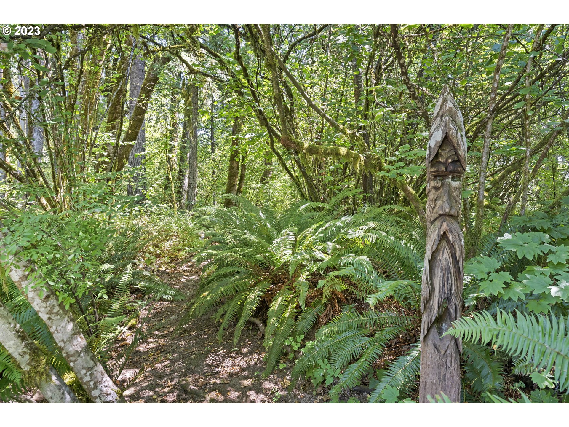 3302 Northeast Stoughton Road La Center, WA 98629 - Photo 39 of 43