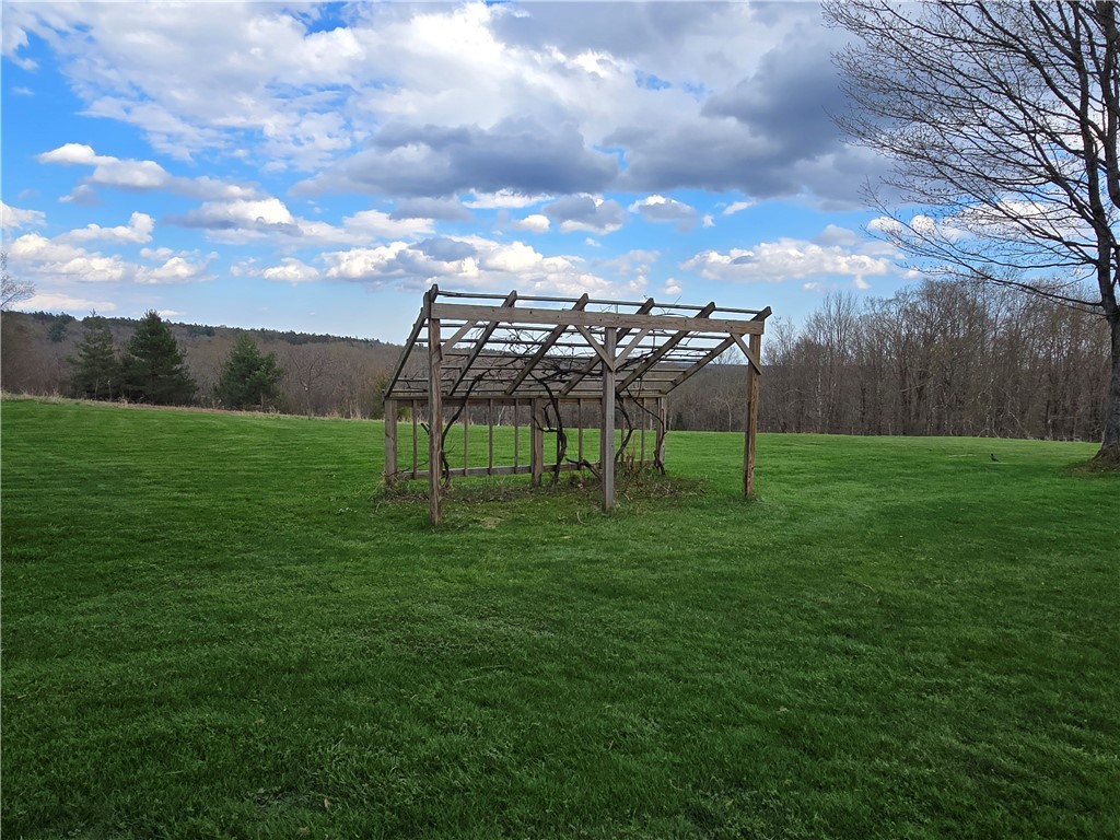 360 Maroney Road German, NY 13801 - Photo 10 of 50 Grape arbor