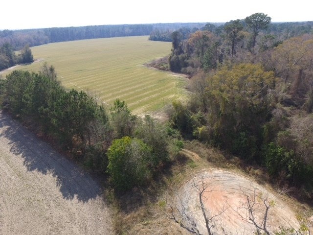 0 Val Del Road Hahira, GA 31632 - Photo 4 of 7 Gallery Image 4