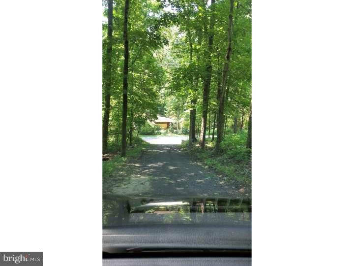 228 Cambridge Road Coatesville, PA 19320 - Photo 21 of 21 Private tree-lined driveway.