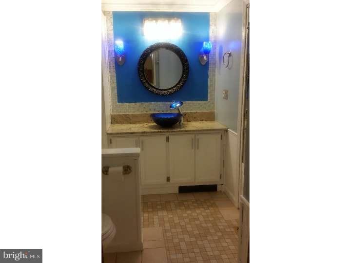 228 Cambridge Road Coatesville, PA 19320 - Photo 9 of 21 Updated master bath.