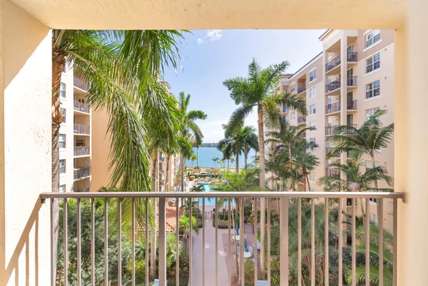 a view of a palm of palm trees