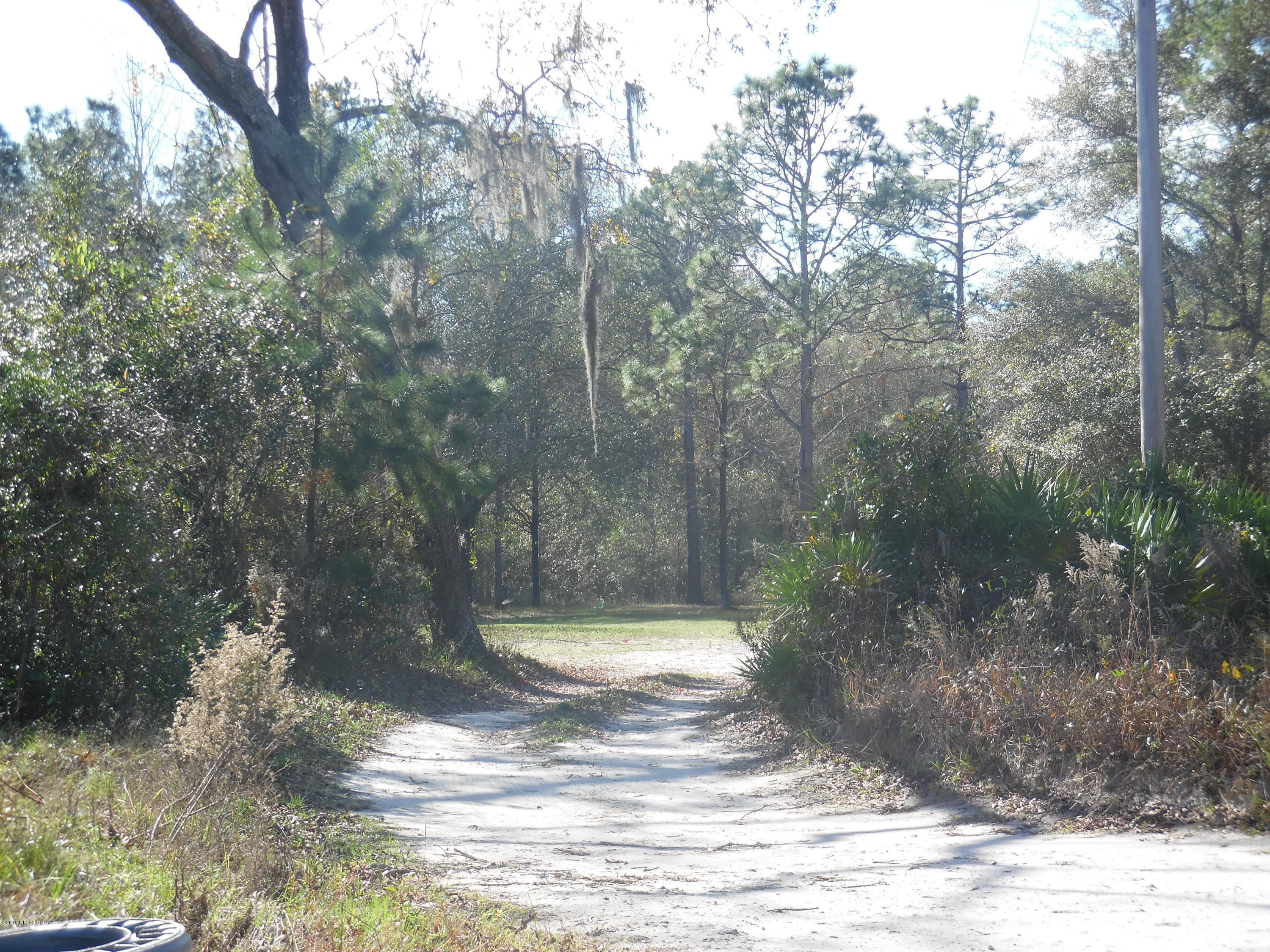 1740 Hereford Road Middleburg, FL 32068 - Photo 3 of 10 hereforddeerpark 070