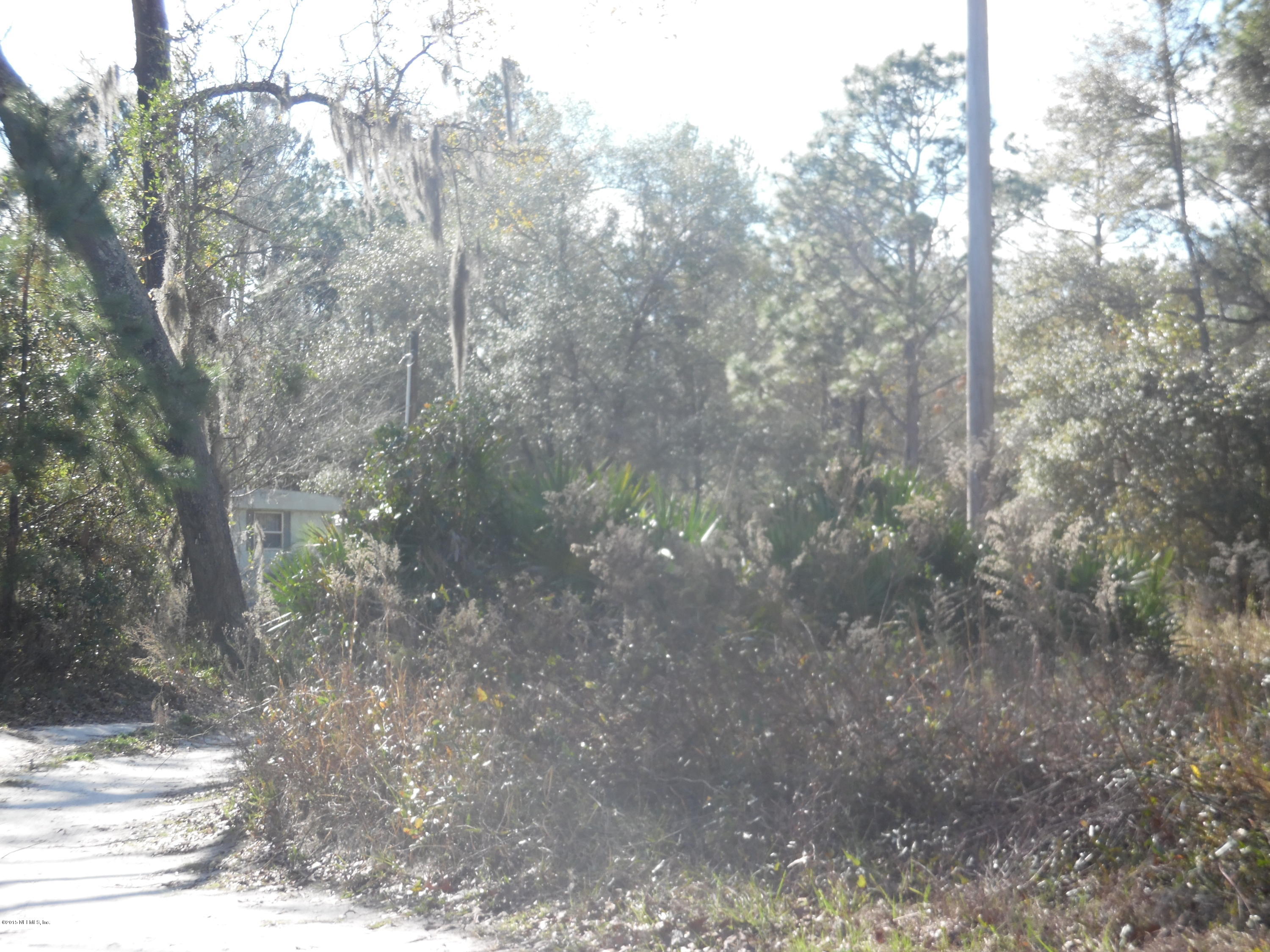 1740 Hereford Road Middleburg, FL 32068 - Photo 4 of 10 hereforddeerpark 071