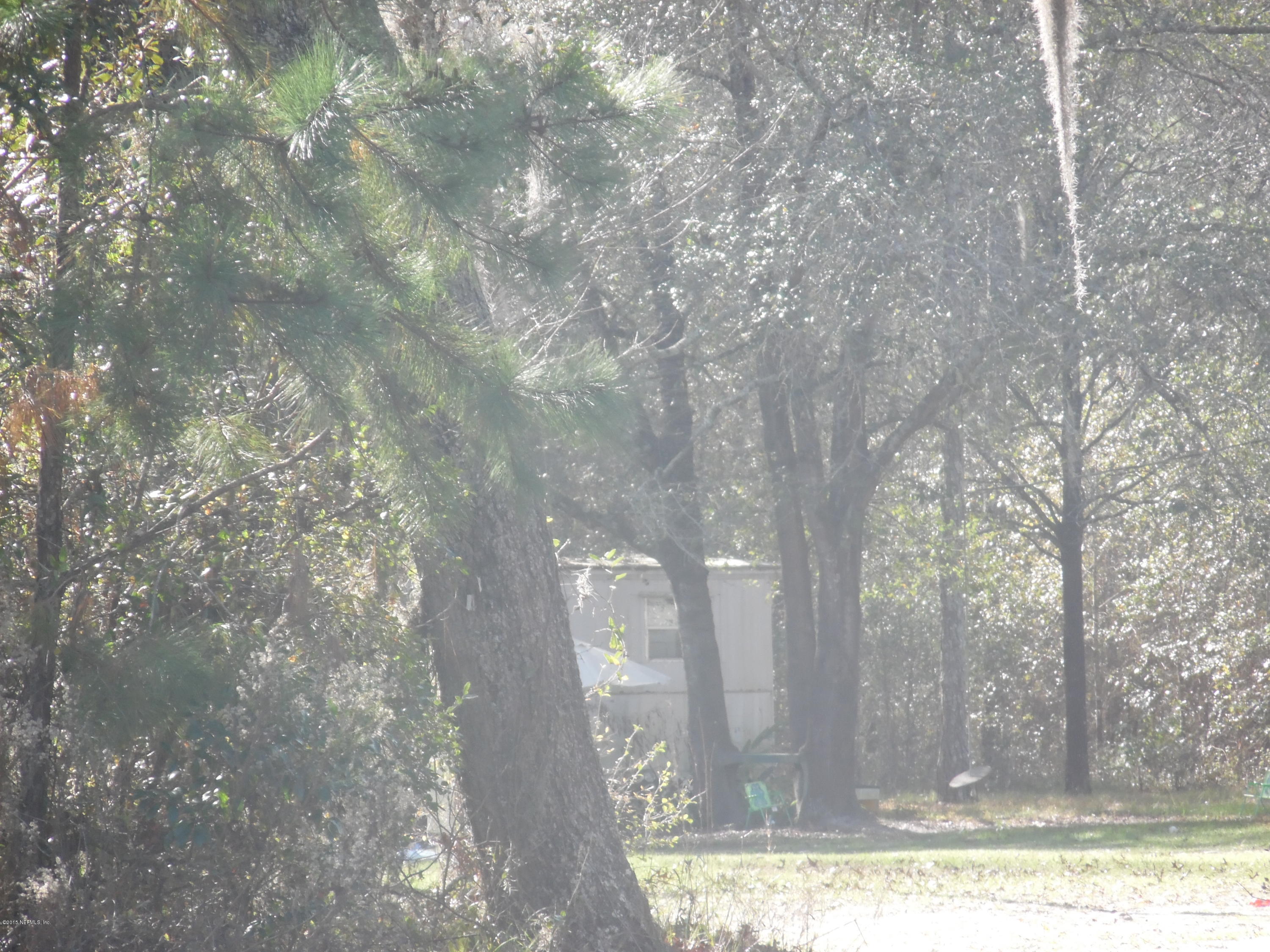 1740 Hereford Road Middleburg, FL 32068 - Photo 5 of 10 hereforddeerpark 072