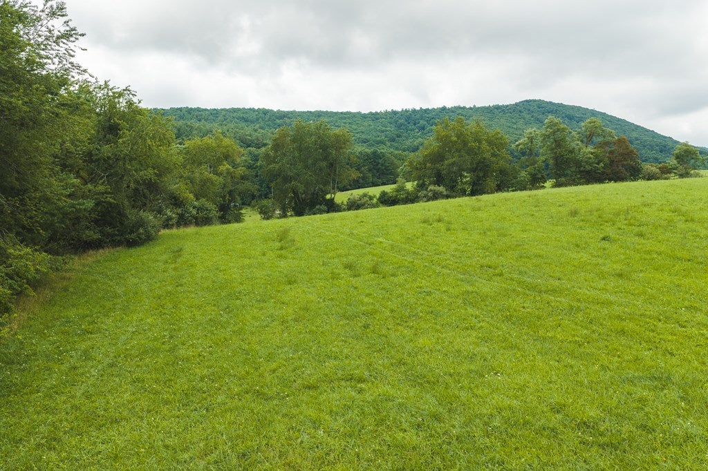 Lot 1 Ridgeview Road Northwest Floyd, VA 24091 - Photo 8 of 26 Gallery Image 8