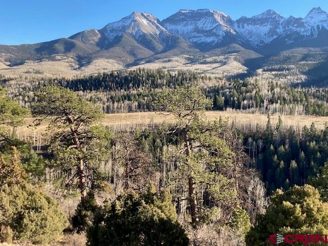 8935 County Road 5 Ridgway, CO 81432 - Photo 14 of 35 a view of outdoor space and city view